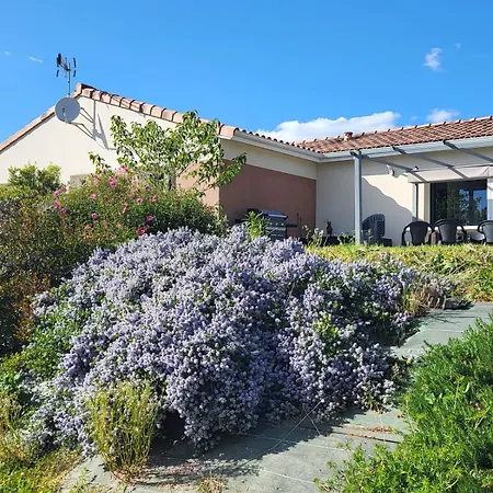 Au Coeur Du Village De Castanet Holiday home *